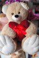 URSO CORAÇÃO E LAÇO VERMELHO